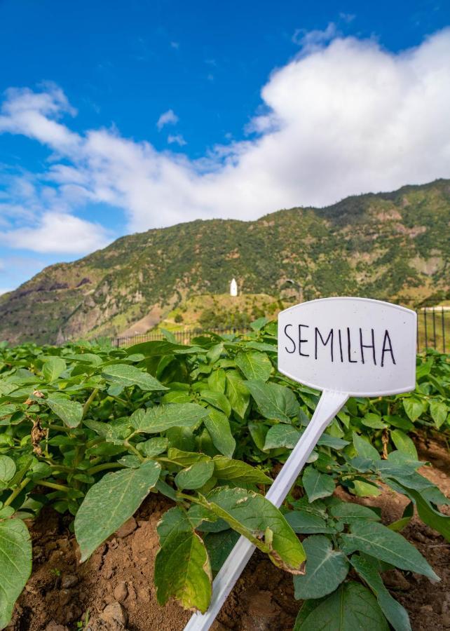 Quinta Vale Vitis Villa São Vicente Eksteriør billede