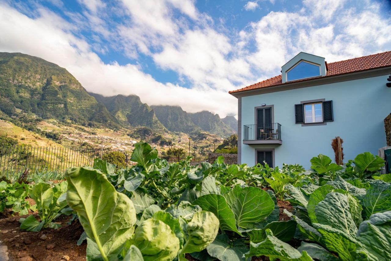 Quinta Vale Vitis Villa São Vicente Eksteriør billede
